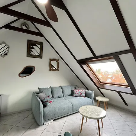 Cosy Avec Mezzanine Lingolsheim